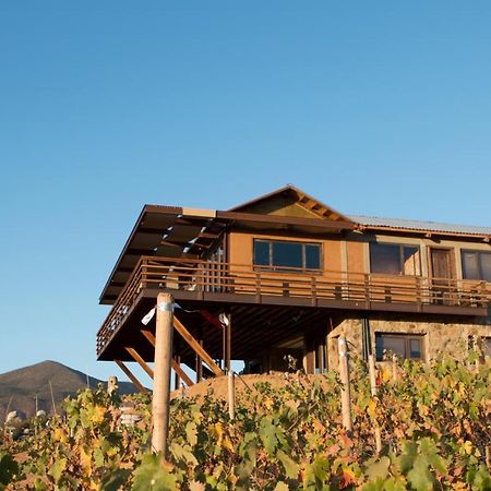 Quinta Lucia Ξενοδοχείο Valle de Guadalupe Εξωτερικό φωτογραφία